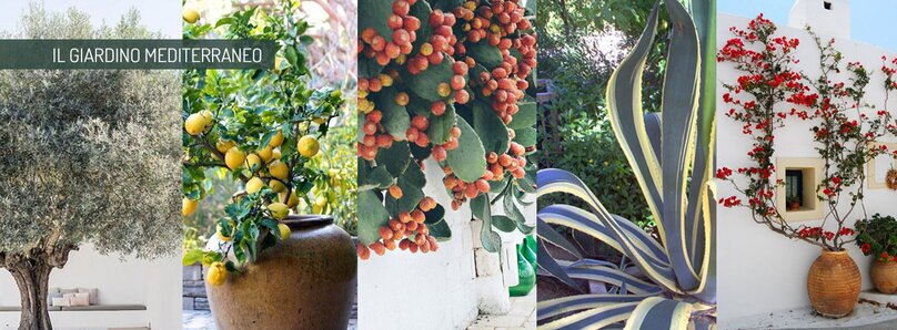 garden design online