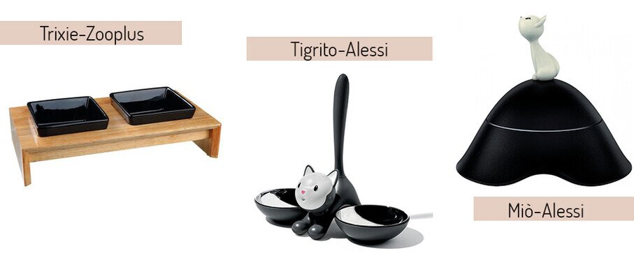 casa a prova di gatto