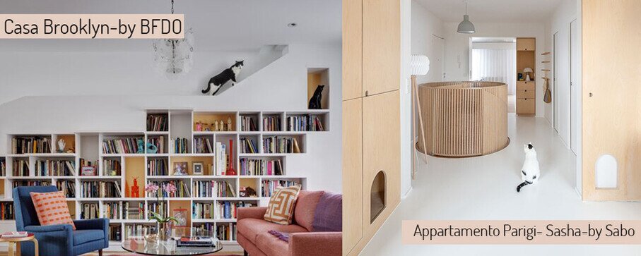 casa a prova di gatto