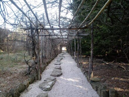 Wabi Sabi Culture